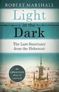 bokomslag Light in the Dark: The Last Sanctuary from the Holocaust