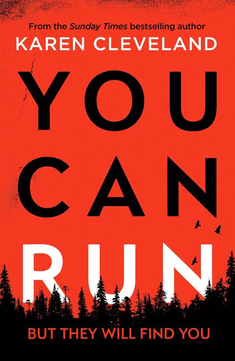 Karen Cleveland - You Can Run, Häftad