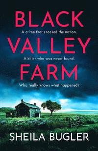 bokomslag Black Valley Farm