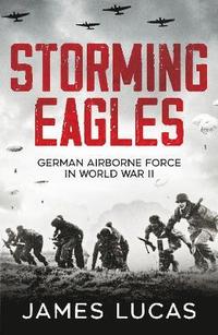 bokomslag Storming Eagles