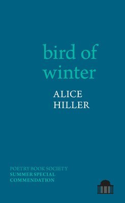 bird of winter 1