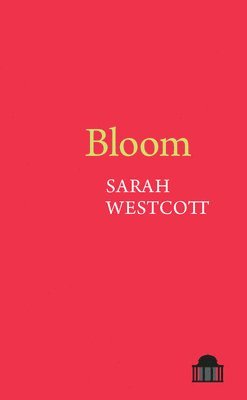 Bloom 1