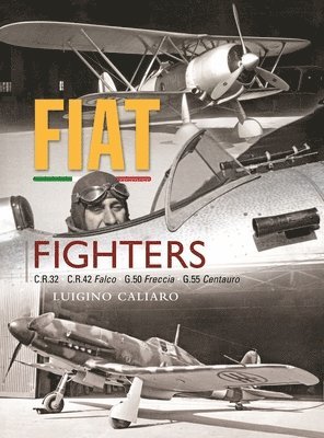 bokomslag Fiat Fighters