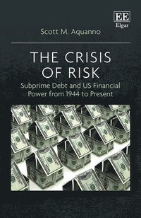 bokomslag The Crisis of Risk