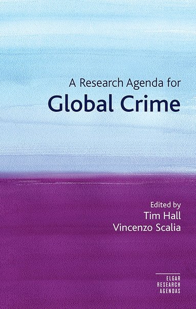 bokomslag Research Agenda for Global Crime