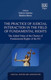 bokomslag The Practice of Judicial Interaction in the Field of Fundamental Rights
