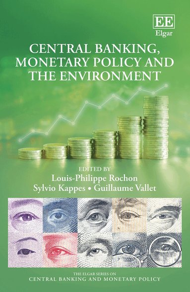 Louis-Philippe Rochon, Sylvio Kappes, Guillaume Vallet - Central Banking, Monetary Policy and the Environment, Inbunden
