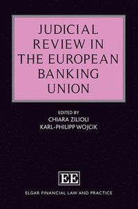 bokomslag Judicial Review in the European Banking Union