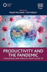 bokomslag Productivity and the Pandemic