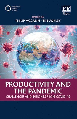 bokomslag Productivity and the Pandemic