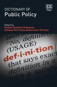 bokomslag Dictionary of Public Policy