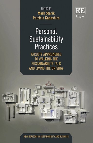 Mark Starik, Patricia Kanashiro - Personal Sustainability Practices, Inbunden