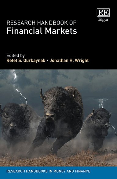 Refet S. Gürkaynak, Jonathan H. Wright - Research Handbook of Financial Markets, Inbunden