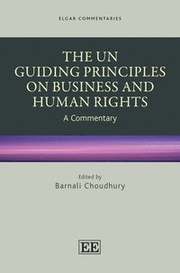 bokomslag The UN Guiding Principles on Business and Human Rights