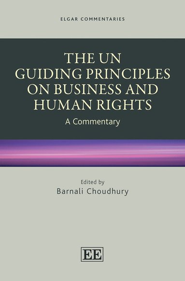 Barnali Choudhury - UN Guiding Principles on Business and Human Rights, Inbunden