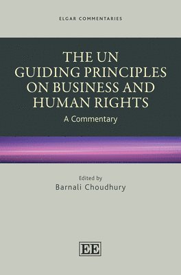 UN Guiding Principles on Business and Human Rights
