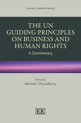 The UN Guiding Principles on Business and Human Rights 1