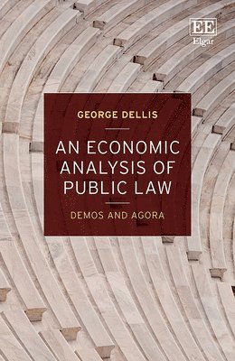 bokomslag An Economic Analysis of Public Law