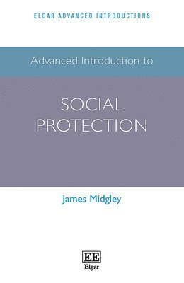 bokomslag Advanced Introduction to Social Protection