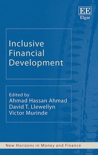 bokomslag Inclusive Financial Development