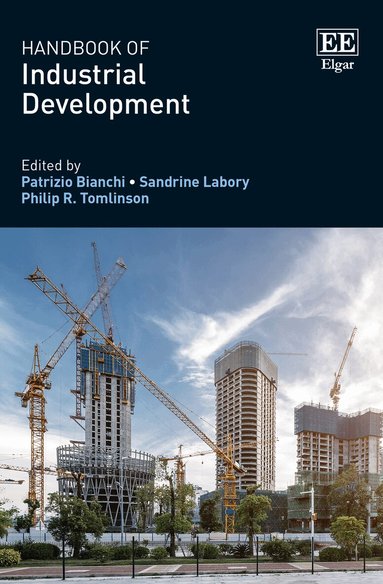 Patrizio Bianchi, Sandrine Labory, Philip R. Tomlinson - Handbook of Industrial Development, Inbunden