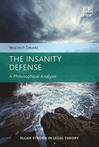 bokomslag The Insanity Defense