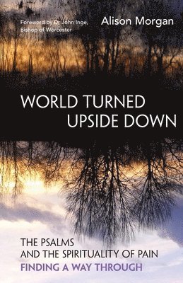 bokomslag World Turned Upside Down