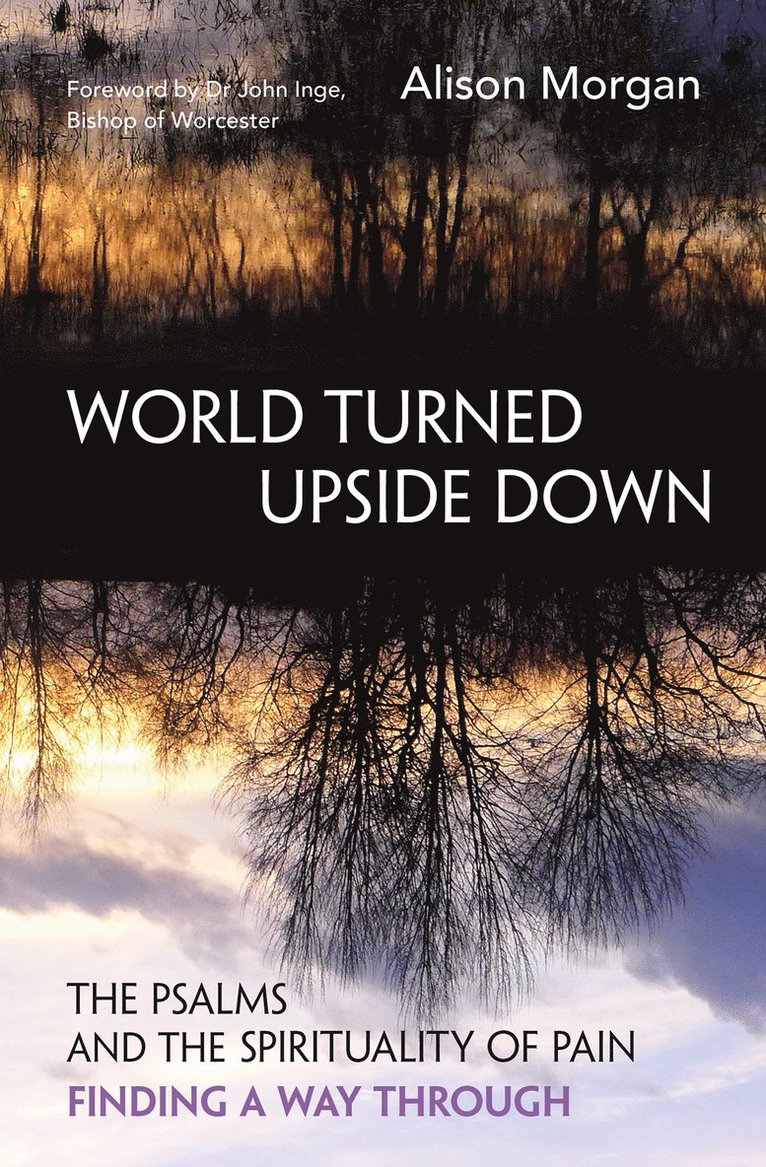 Alison Morgan - World Turned Upside Down, Häftad