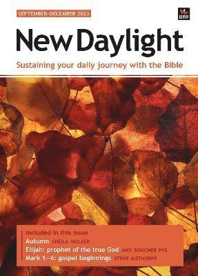 bokomslag New Daylight September-December 2023