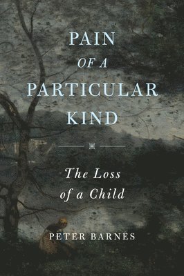 Peter Barnes - Pain of a Particular Kind: The Loss of a Child, Häftad