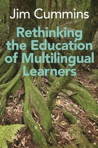 bokomslag Rethinking the Education of Multilingual Learners