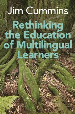 bokomslag Rethinking the Education of Multilingual Learners