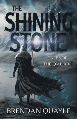bokomslag Shining Stone
