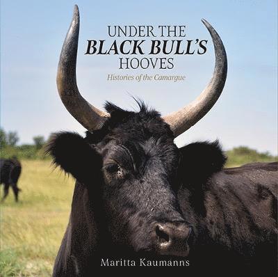Under the Black Bull's Hooves 1
