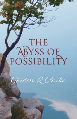 bokomslag Abyss of Possibility