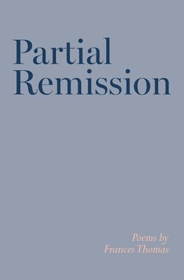 bokomslag Partial Remission