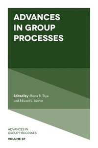 bokomslag Advances in Group Processes