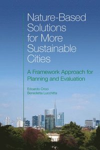 bokomslag Nature-Based Solutions for More Sustainable Cities