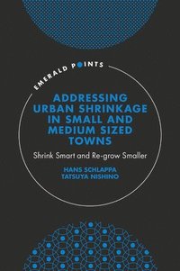 bokomslag Addressing Urban Shrinkage in Small and Medium Sized Towns