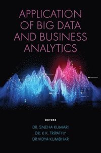 bokomslag Application of Big Data and Business Analytics