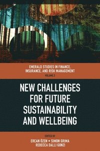bokomslag New Challenges for Future Sustainability and Wellbeing