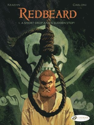 bokomslag Redbeard Vol. 1: A Short Drop and a Sudden Stop!