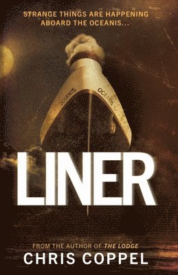 Liner 1