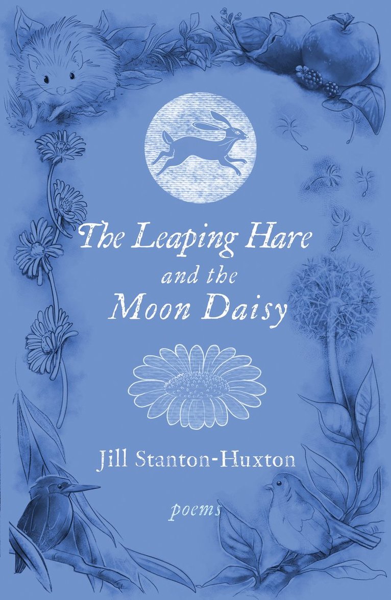 Jill Stanton-Huxton - Leaping Hare and the Moon Daisy, Häftad