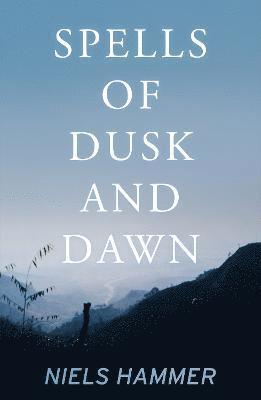 bokomslag Spells of Dusk and Dawn