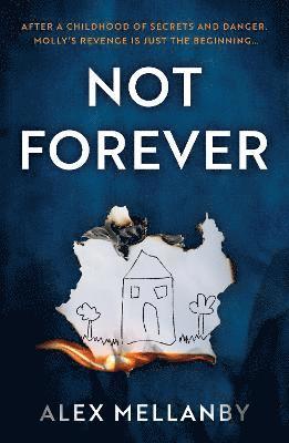 bokomslag Not Forever