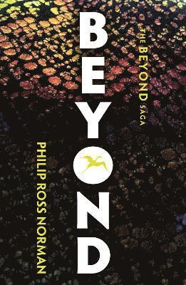 bokomslag Beyond