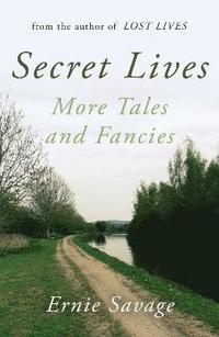 bokomslag Secret Lives
