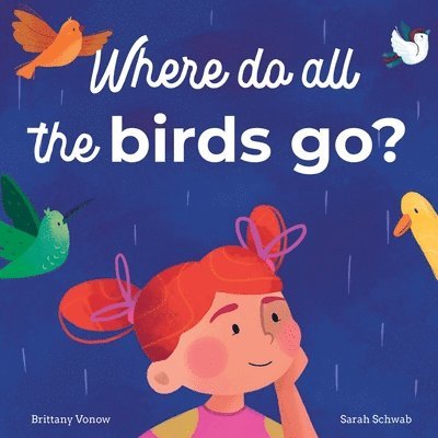 Where Do All The Birds Go? 1