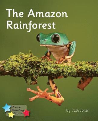 bokomslag Amazon Rainforest